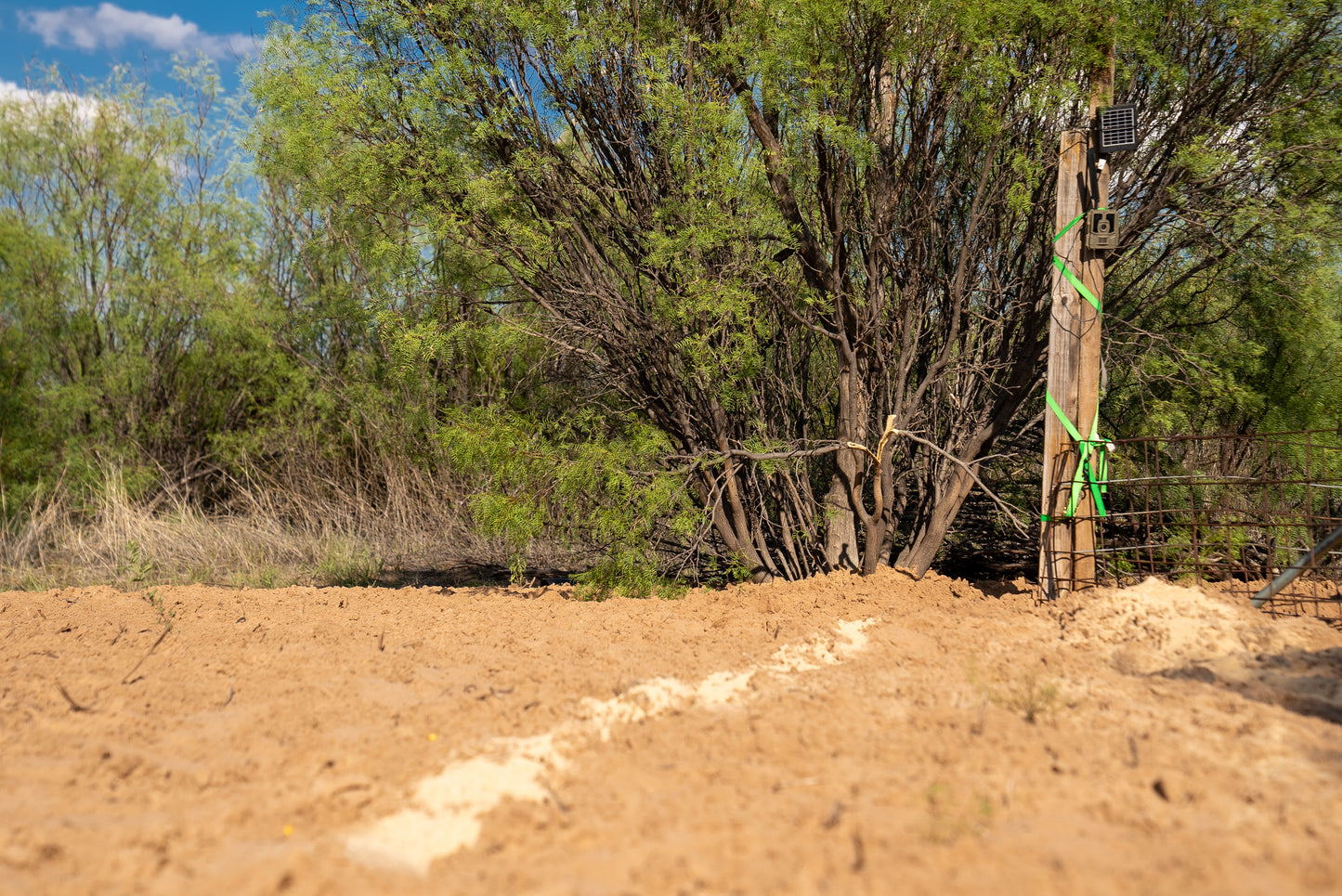 Guides Blend Wildlife Attractant - Molasses