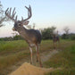 Guides Blend Wildlife Attractant