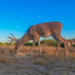 Guides Blend Wildlife Attractant